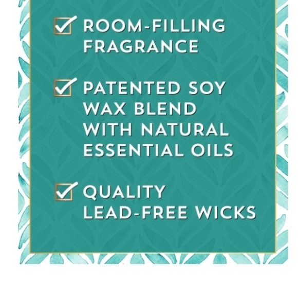 CACTUS BLOSSOM 3-WICK CANDLE - Picture 2 of 2